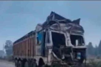 चतरा : तेज रफ्तार ट्रक पेड़ से टकराया, गया जिले के चालक की मौत