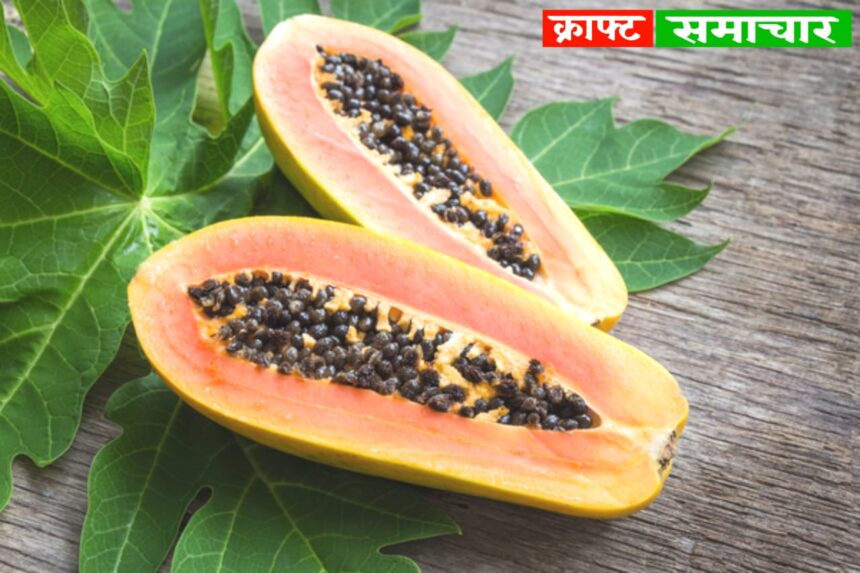 Natural Health Booster: पपीता - फल नहीं, अमृत! जानिए इसके फल, पत्ते और बीज तक के अद्भुत फायदे