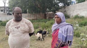controversy over goat distribution under chief minister livestock development scheme beneficiaries raised questions