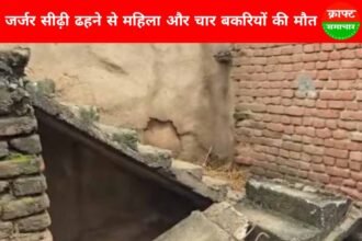 giridih-news-woman-and-four-goats-die-after-dilapidated-staircase-collapses
