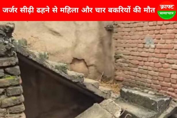 giridih-news-woman-and-four-goats-die-after-dilapidated-staircase-collapses