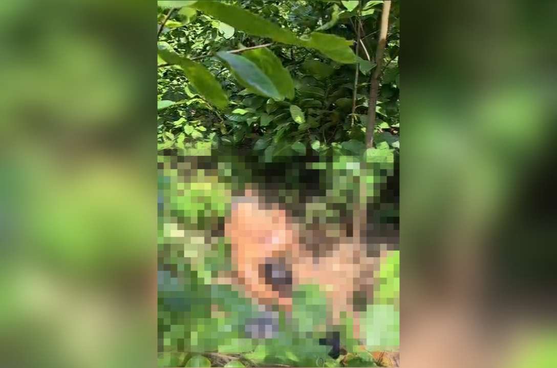 body of hn construction clerk allegedly kidnapped from karanpura turn found in forest family in uproar2