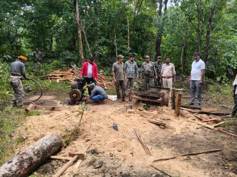 संरक्षित वन क्षेत्र में बेखौफ चल रही थी अवैध आरा मिल, वन विभाग की छापेमारी में जब्त